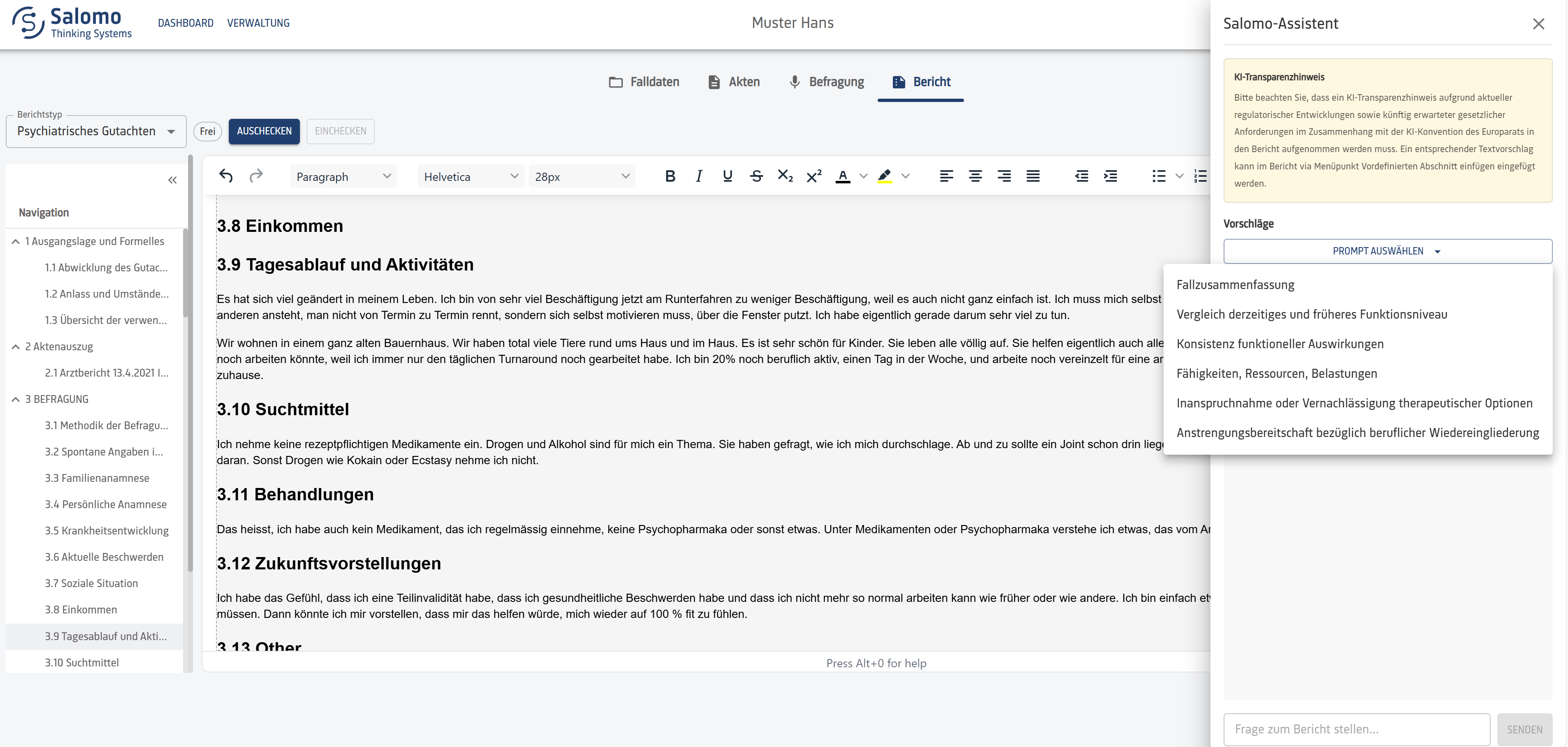 Screenshot 1: Salomo-Assistent